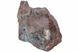 Metallic, Needle-Like Pyrolusite Crystals - Morocco #220654-1